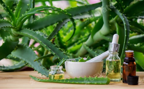 Preview: aloe vera essential oil on a wooden background, juice