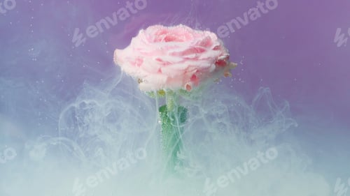 Preview: Bright macro photography.Stock footage.Various multicolored flowers on which smoke is blown on a