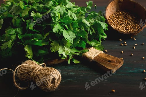 Preview: bunch of fresh Cilantro, coriander seeds, on a dark wooden table, close-up, top view, no people.