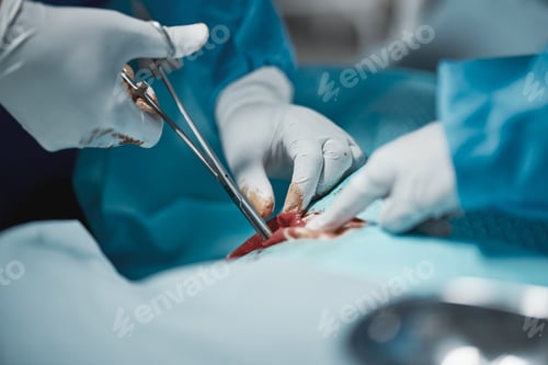 Preview: Surgery scissors, blood and doctor hands tools with medical surgeon at hospital and clinic emergenc