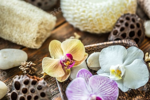 Preview: Orchid flower