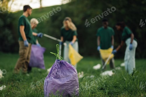 Preview: Volunteers collecting trash in garbage bag in a public park