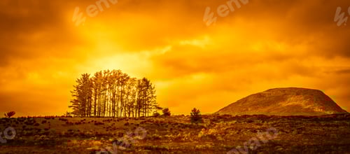 Preview: Bunch of trees on the ridge of the hill