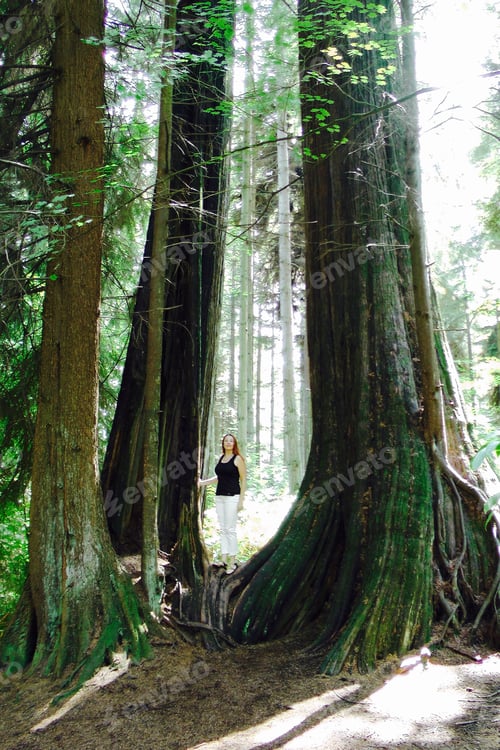 Preview: People in nature, beautiful moments, tall trees