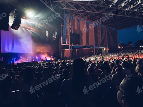 Preview: Crowd of people at an outdoor concert