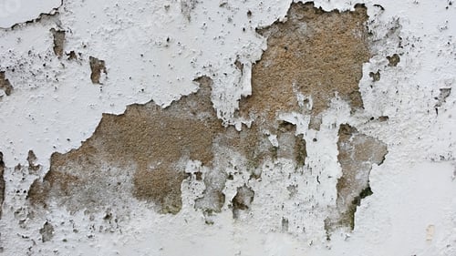 Preview: Abstract background of moldy wall.