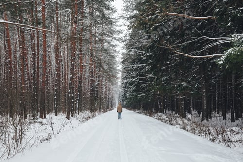 Preview: Man on a forest road