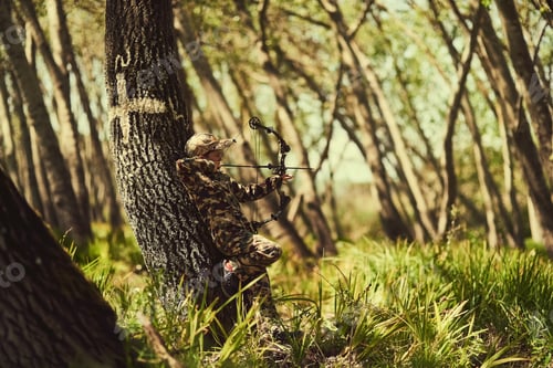 Preview: Shot of a cute little boy in camouflage playing with his bow and arrow in the woods