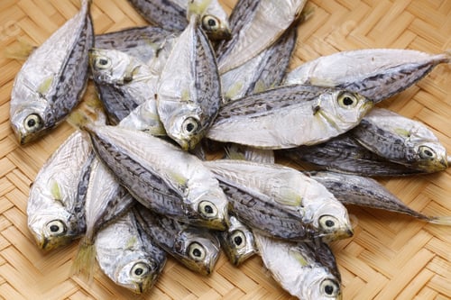 Preview: Hiiragi no himono, dried spotnape ponyfish, Japanese delicacy food