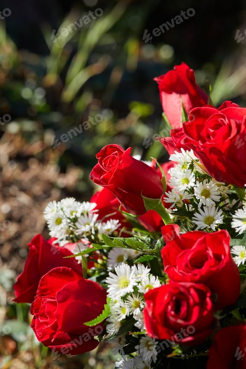 Preview: Vertical photo of fresh new born flowers