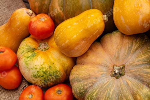 Preview: Autumn harvest of pumpkins and other vegetables