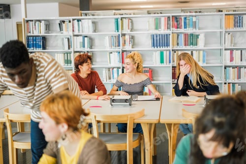 Preview: Group of students studying in the university library and sharing moments