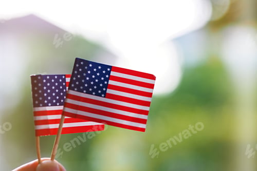 Preview: American flag in hand closeup outdoor green nature blur background