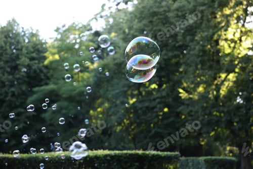 Preview: Beautiful transparent soap bubbles floating in park