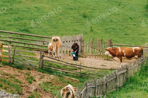 Preview: Countryside living.
