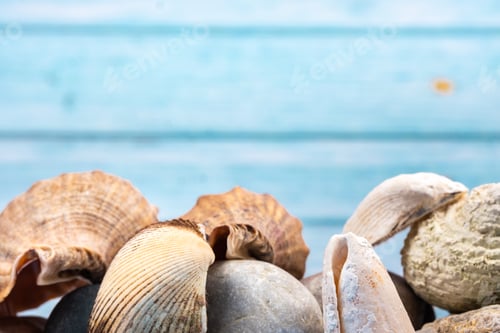 Preview: rocks and shells on a blue wooden background.Marine theme