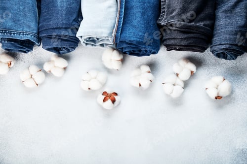 Preview: Row of rolled jeans and cotton flowers on light background