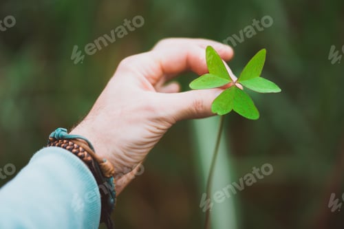 Preview: man hand holding an exotic green clover leave. Green blurred background