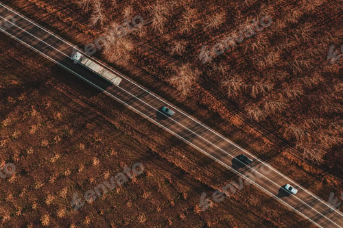 Preview: Long-vehicle truck and three cars on the road through forest in autumn sunset, top view drone photo