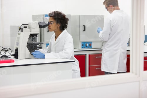Researchers Working in Modern Scientific Laboratory