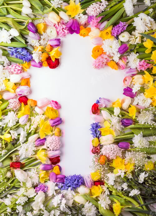 Preview: Flowers on a white background.