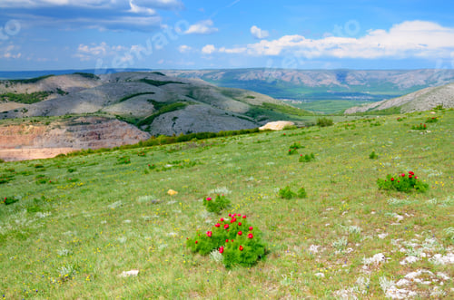 Preview: Mountain landscape and small village in distance