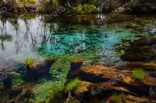 Preview: Closeup shot of the Waikoropupu Springs in New Zealand