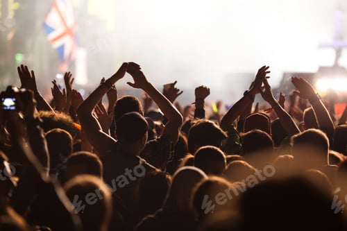 Preview: crowd at concert - summer music festival