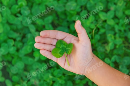 Preview: nature