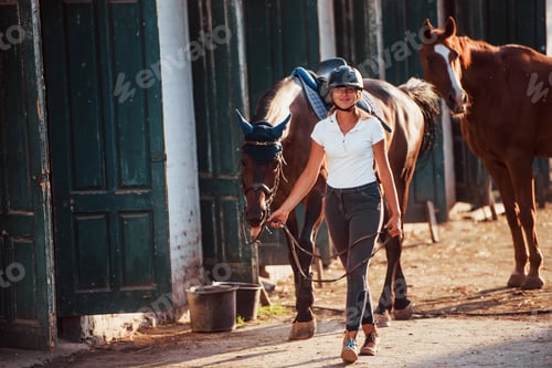 Preview: Horsewoman in uniform and black protective helmet with her horse