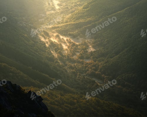 Preview: Very first rays of light over grasslands and forests