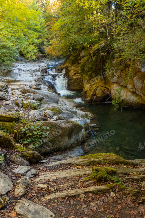 Preview: Irati forest or jungle in autumn, Cubos waterfall. Ochagavia, northern Navarra