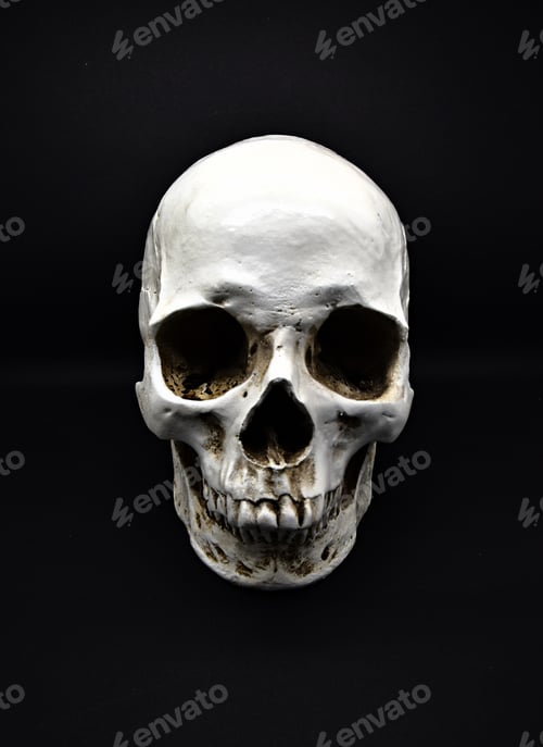 Preview: Skull with black background