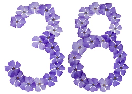 Preview: Numeral 38, thirty eight, from natural blue flowers of periwinkle, isolated on white background