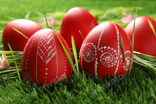 Preview: Red painted Easter eggs on green grass