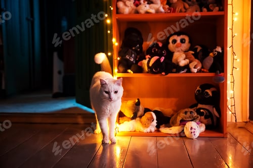 Preview: White cat in the room