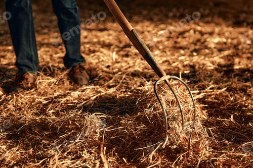 Preview: Mature couple working on the farm