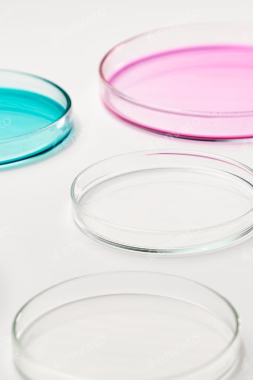 Preview: Pink, blue and transparent agar media in Petri dishes for grafting bacteria