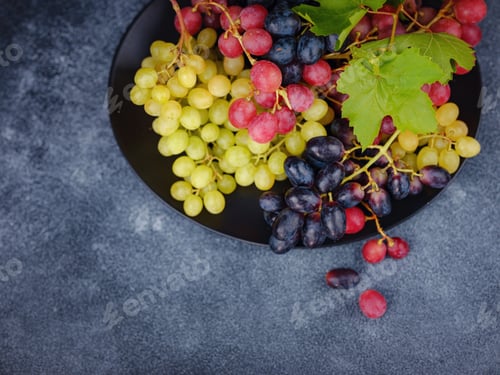 Preview: Vineyard Harvest in autumn season