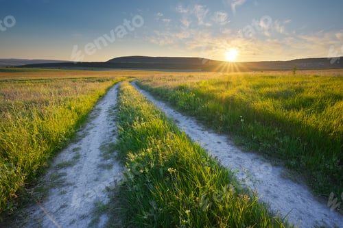 Preview: Road lane and green meadow during the sunset.