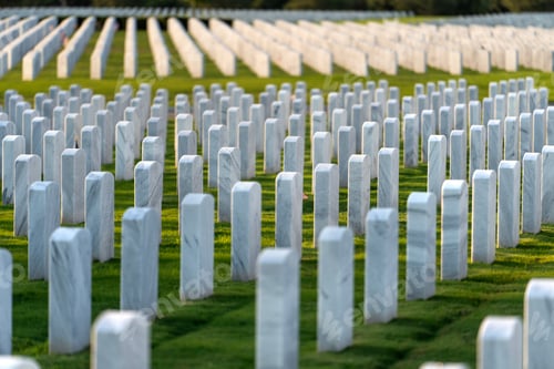 Preview: Memorial Day concept. Sarasota National Cemetery with rows of white tomb stones on green grass