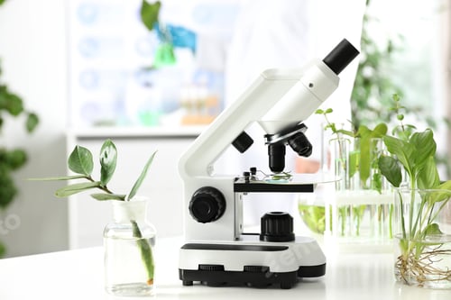 Preview: Laboratory glassware with plants and microscope on table. Biological chemistry