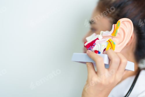 Preview: Doctor with human Ear anatomy model. Ear disease, Atresia