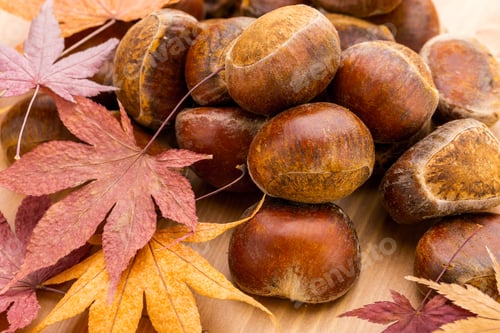 Preview: Chestnut and dried maple leave