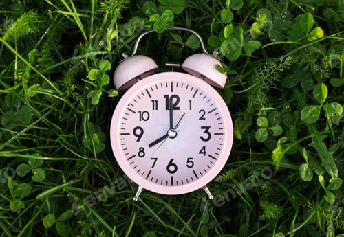 Preview: Pink small alarm clock on green grass outdoors, top view