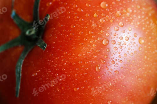Preview: Closeup shot of a fresh tomato