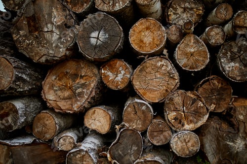 Preview: Dry chopped, sawn wooden logs wooden pole texture