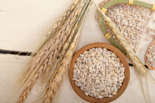 Preview: organic barley grains