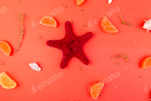 Vista previa: Fondo de estrella de mar roja. Concepto de vacaciones de verano. Colocación plana.