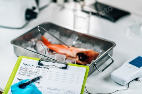 Preview: Fish quality control